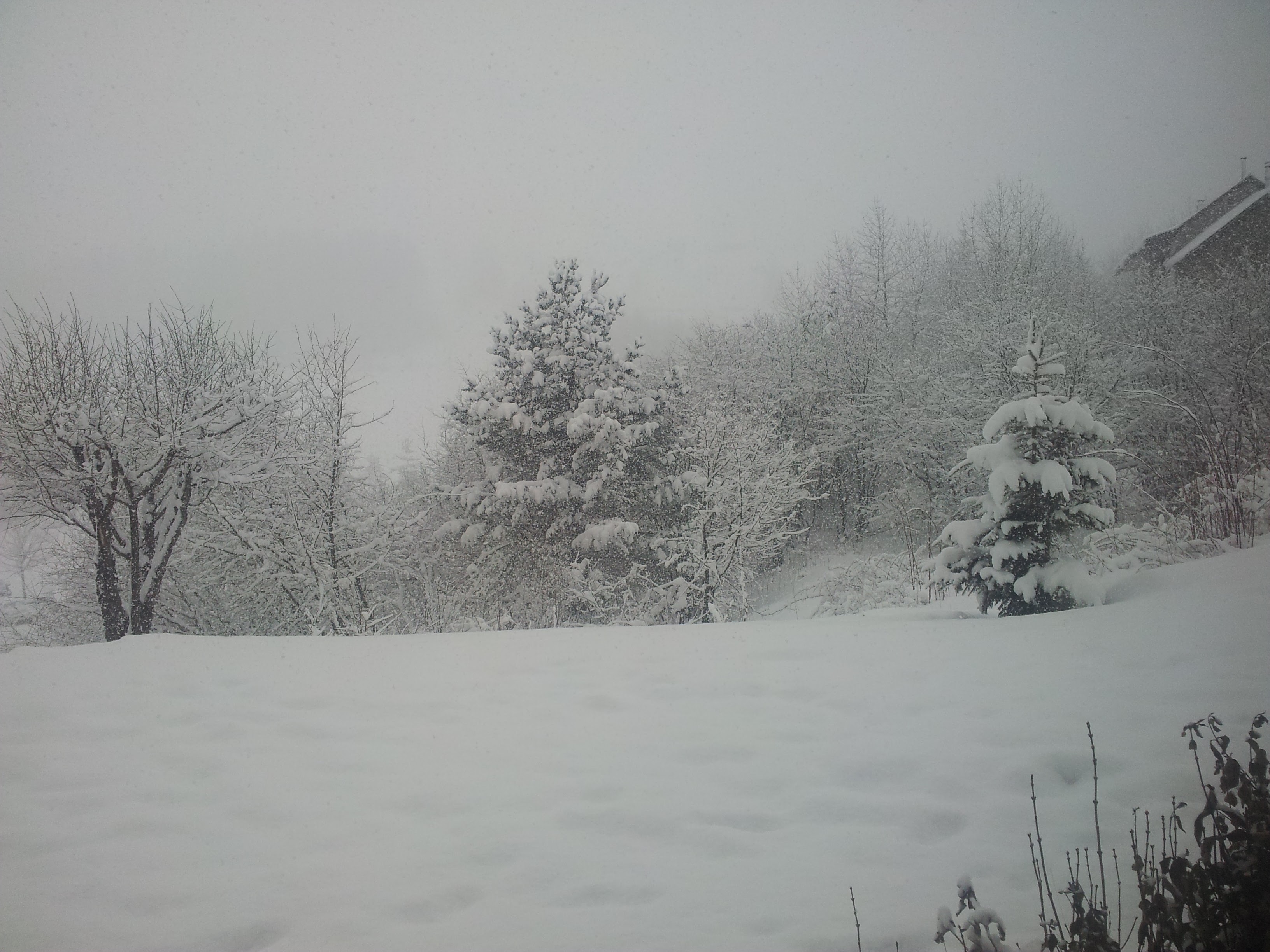 20150214_155653